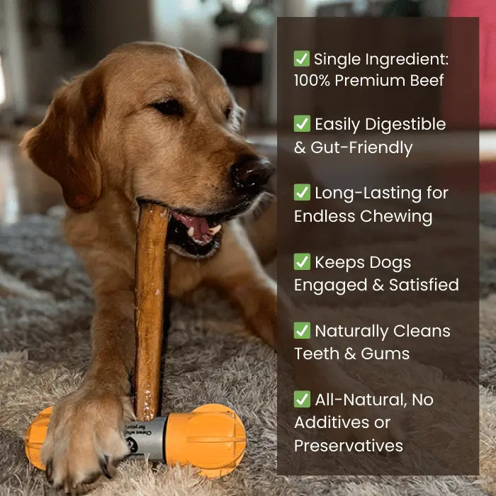 Wholesale Bully Sticks