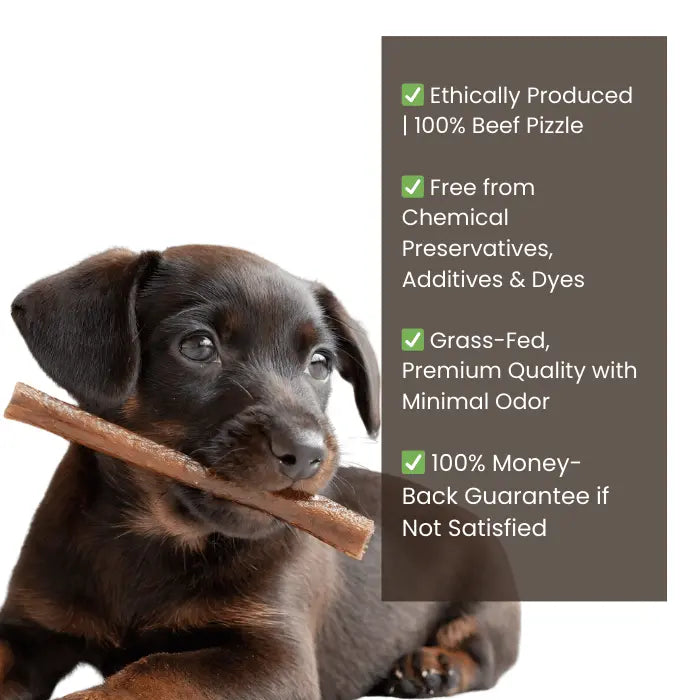 Wholesale Collagen Sticks