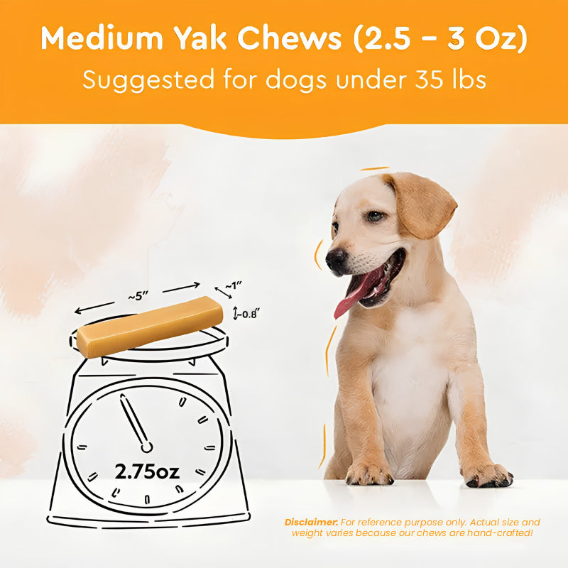 Wholesale Unflavored Himalayan Yak Chews | 7-Sizes (for Small to Big Dogs)