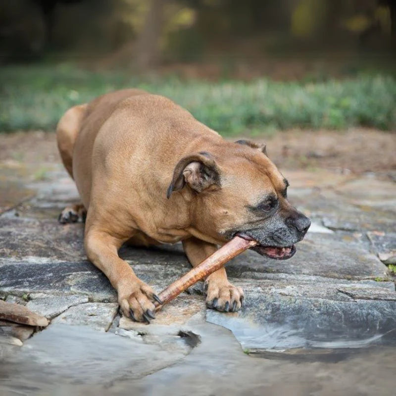 Wholesale Bully Sticks