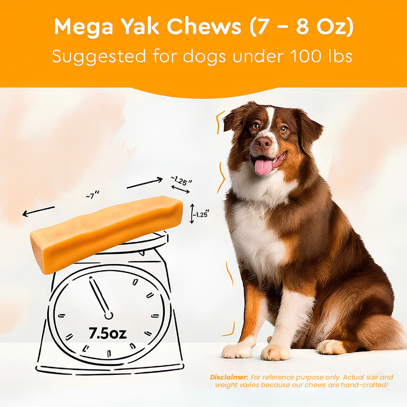 Wholesale Unflavored Himalayan Yak Chews | 7-Sizes (for Small to Big Dogs)