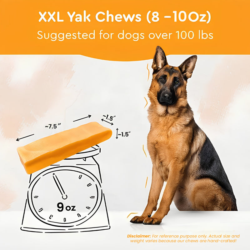 Wholesale Unflavored Himalayan Yak Chews | 7-Sizes (for Small to Big Dogs)
